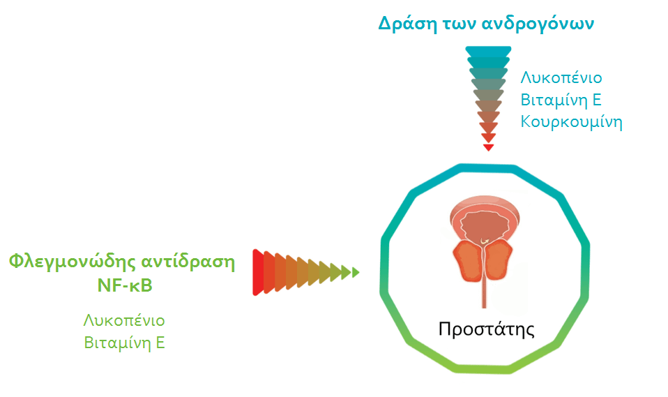 chart8